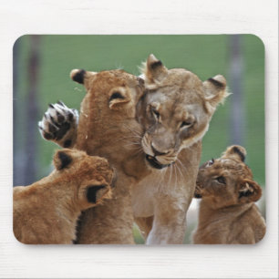 Lioness and 3 Cubs Mousepad