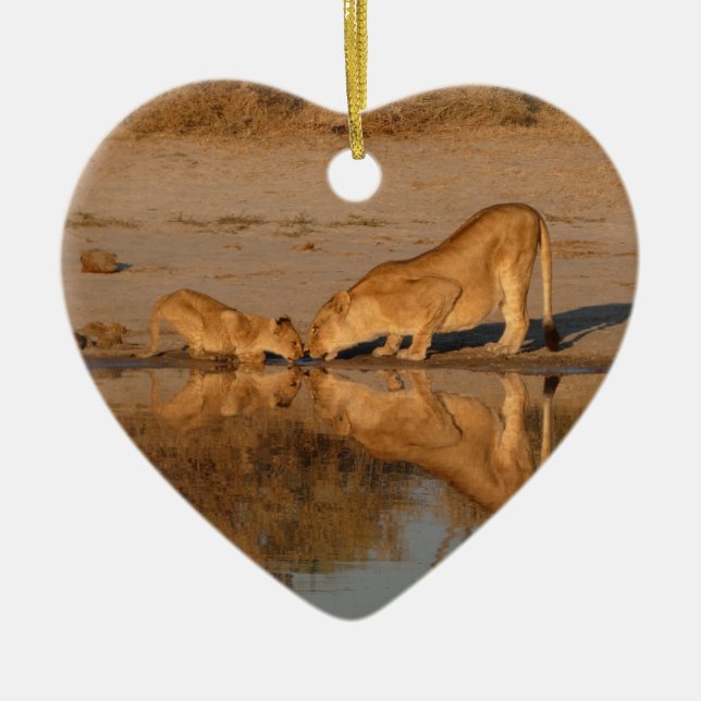 LIONESS AND CUB TAKING A REFLECTED DRINK CERAMIC TREE DECORATION (Front)