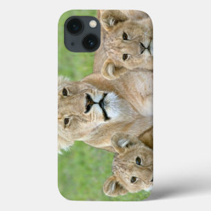Lioness and Two Cubs, East Africa, Tanzania, iPhone 13 Case