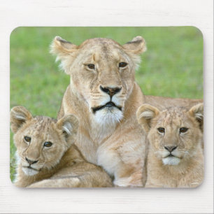 Lioness and Two Cubs, East Africa, Tanzania, Mouse Mat