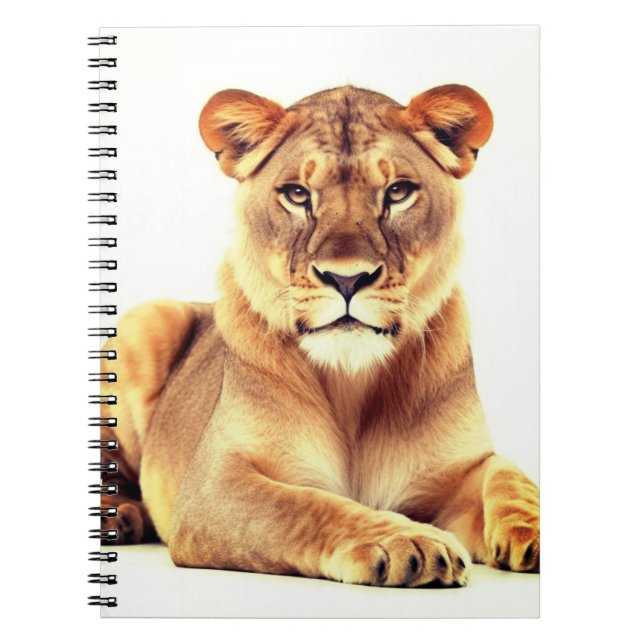 Lioness Art Notebook (Front)