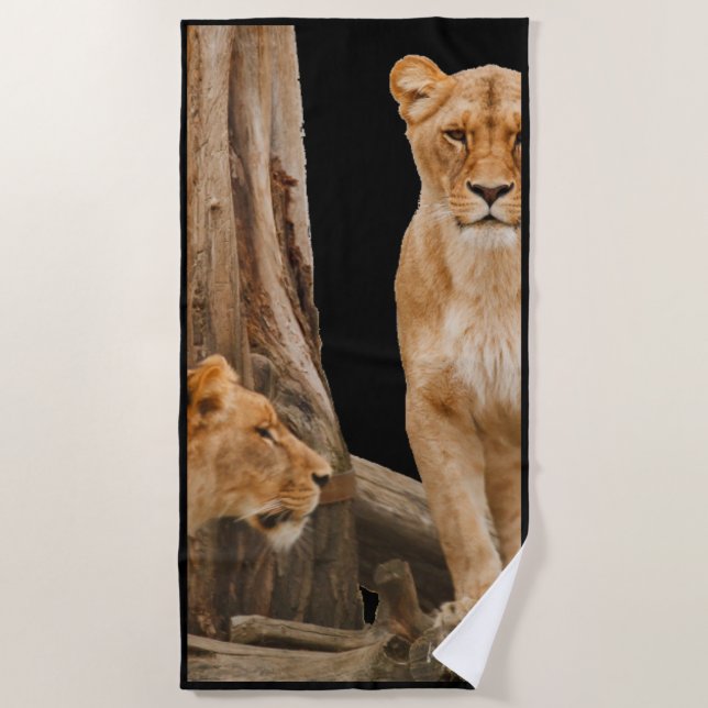 Lioness Beach Towel (Front)