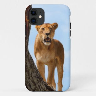 Lioness iPhone 11 Case