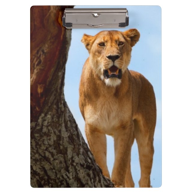 Lioness Clipboard (Front)