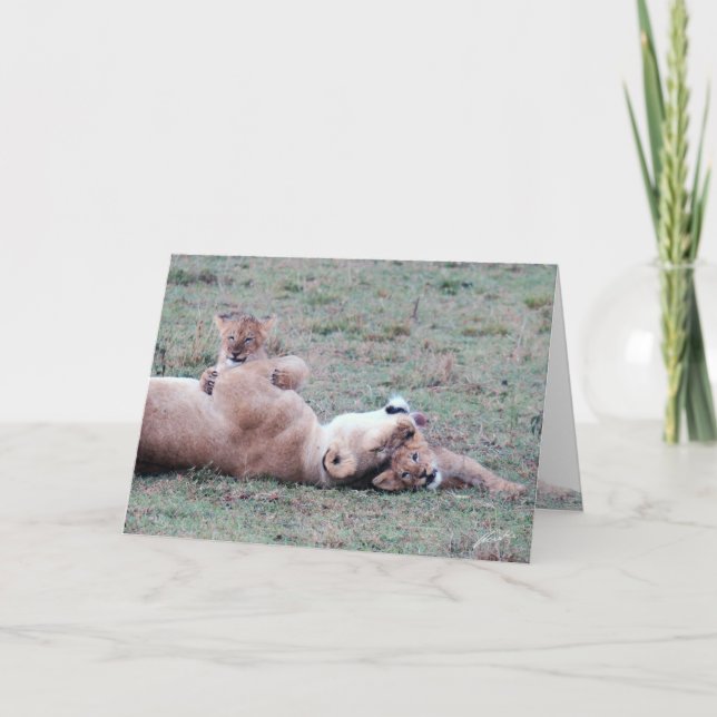 Lioness & Cubs Greeting Card (Front)