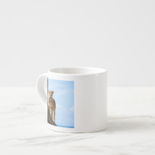 Lioness Espresso Cup