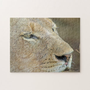 Lioness Face Jigsaw Puzzle