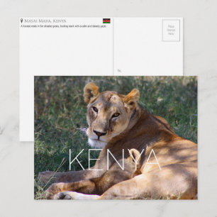 Lioness in Masai Mara, Kenya Travel Postcard