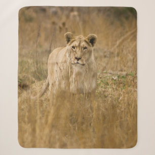 LIONESS IN THE GRASS SHERPA BLANKET