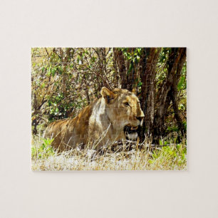 Lioness Jigsaw Puzzle