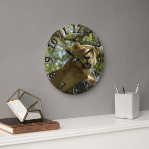 Lioness looking From Tree Clock