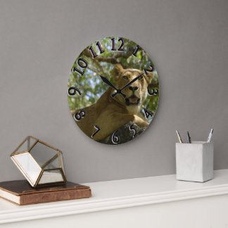 Lioness looking From Tree Clock