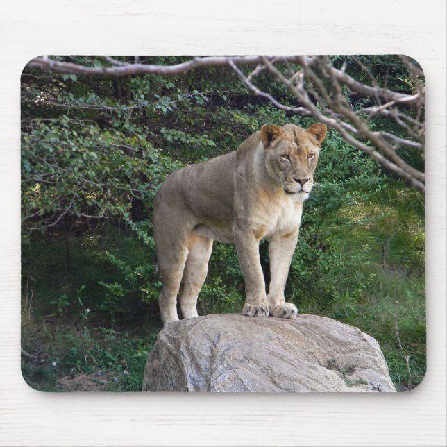 Lioness Mouse Mat (Front)