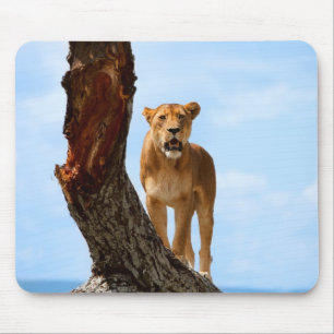 Lioness Mouse Mat