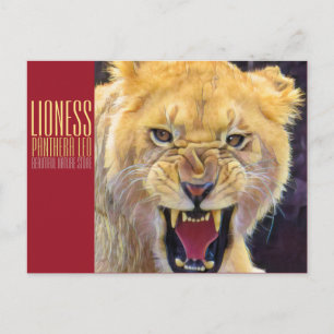 Lioness [Postcard] Postcard