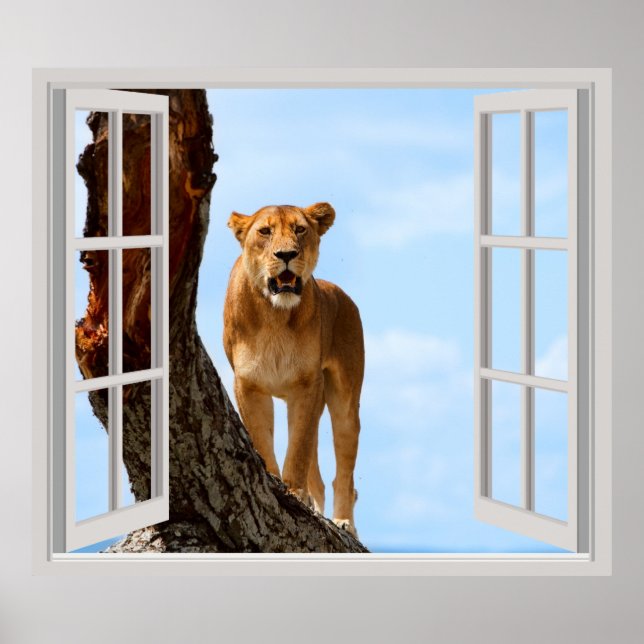 Lioness Poster (Front)