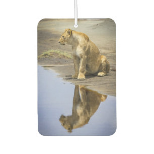 Lioness Reflection Air Freshener