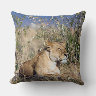 Lioness resting cushion
