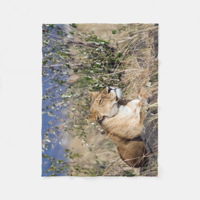 Lioness resting fleece blanket (Front)