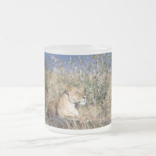 Lioness resting frosted glass coffee mug