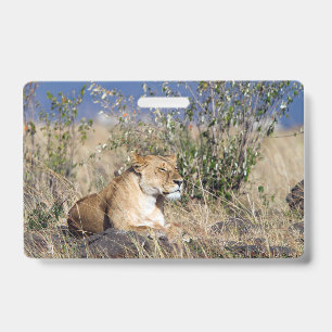 Lioness resting ID badge