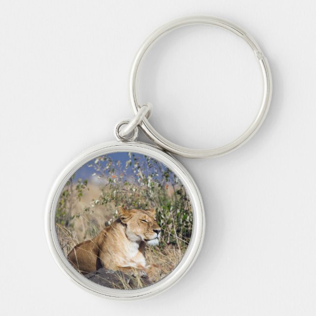 Lioness resting key ring (Front)