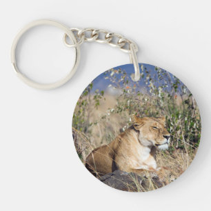 Lioness resting key ring