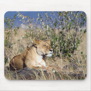 Lioness resting mouse mat