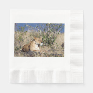 Lioness resting napkin