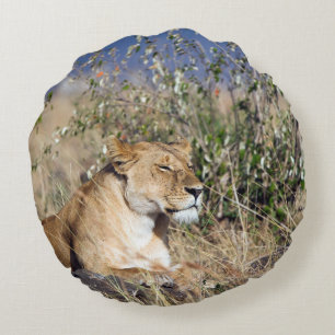 Lioness resting round cushion