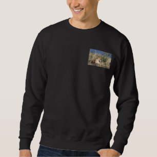 Lioness resting sweatshirt