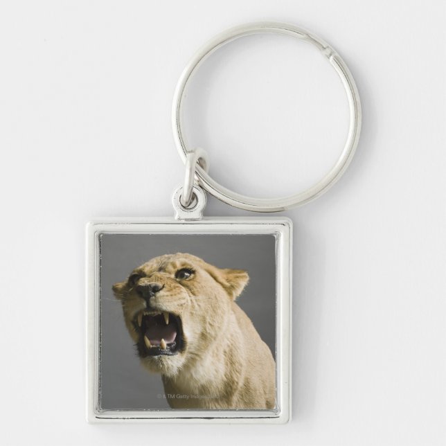 Lioness roaring key ring (Front)