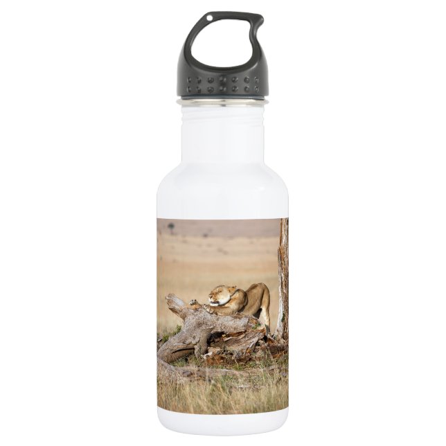 Lioness stretching 532 ml water bottle (Front)
