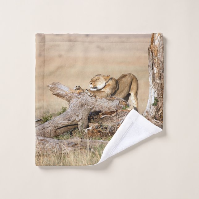 Lioness stretching bath towel set (Wash Cloth)