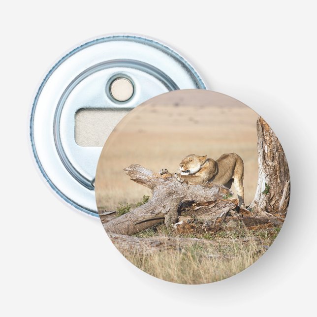 Lioness stretching bottle opener (Front)