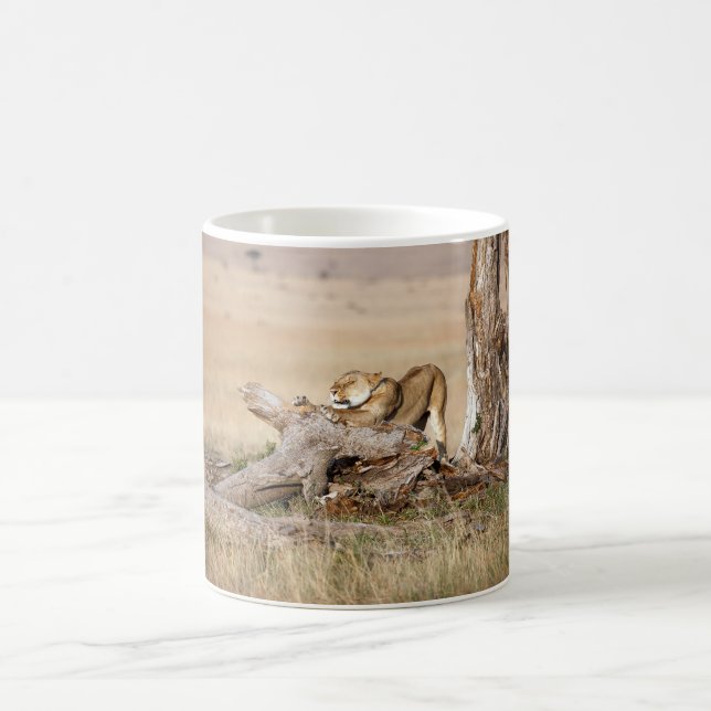 Lioness stretching coffee mug (Center)