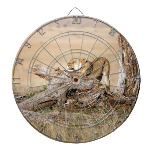 Lioness stretching dartboard