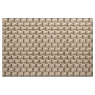 Lioness stretching fabric