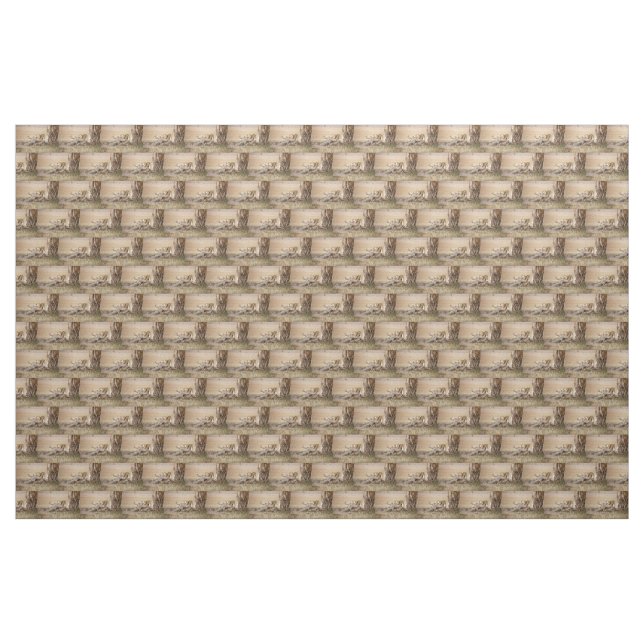 Lioness stretching fabric (Yard)