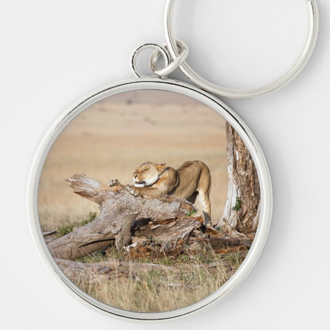 Lioness stretching key ring (Front)