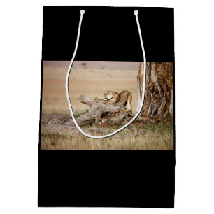 Lioness stretching medium gift bag