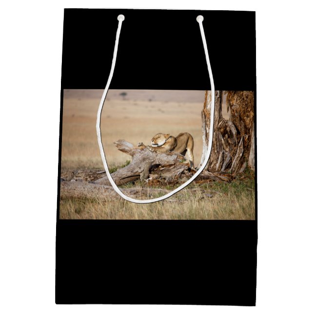 Lioness stretching medium gift bag (Back)