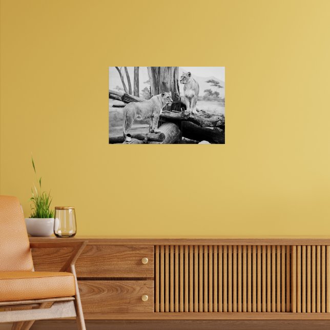 Lioness Wildlife Black & White Photography Art Poster (Living Room 2)