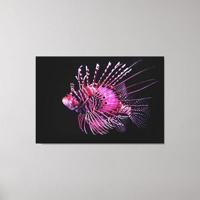 Lionfish 12" x 12", 1.5", Single Canvas Print (Front)