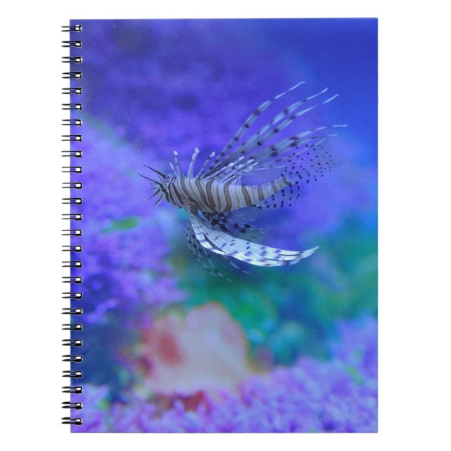 Lionfish Aquarium Fish Purple Pterois Zebrafish Notebook (Front)