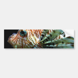Lionfish Bumper Sticker