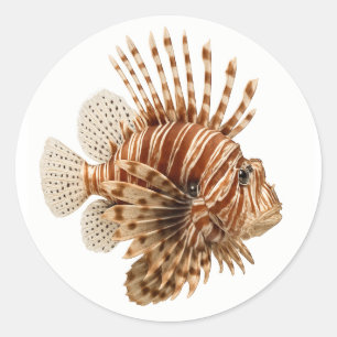 Lionfish Classic Round Sticker
