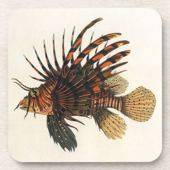 Lionfish Fish, Vintage Marine Ocean Life Animal Coaster (Front)
