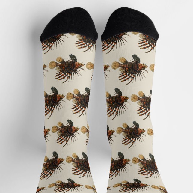 Lionfish Fish, Vintage Marine Ocean Life Animal Socks (Top)