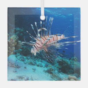 Lionfish or Pterois Miles, Ocean Reef Fish Glass Tree Decoration